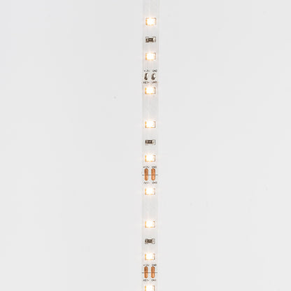 RENDL LED-strip LED STRIP IP20 5m    12V= LED 60W  3000K G12366 4
