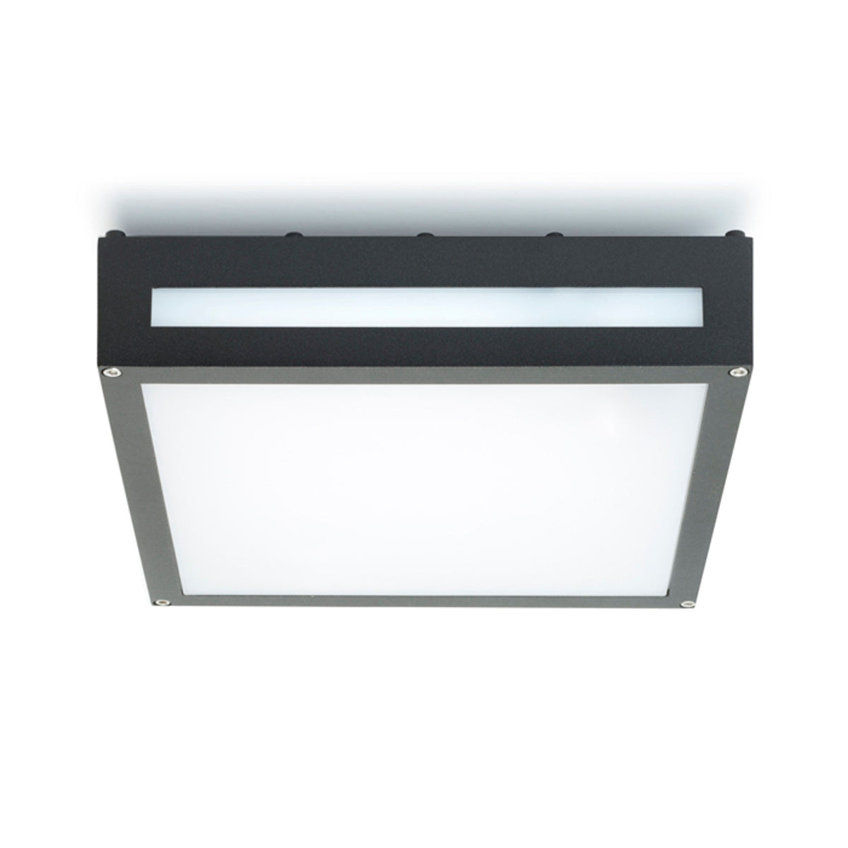 RENDL Outlet PLAKA ceiling black 230V E27 2x26W IP54 R10359 2