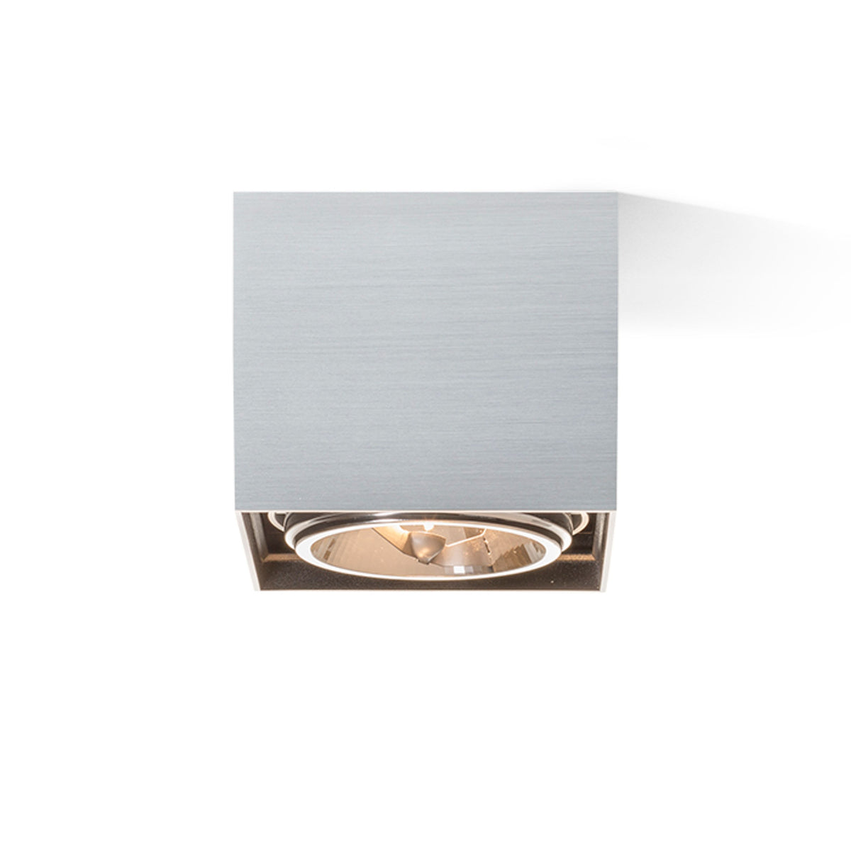 RENDL surface mounted lamp DEAN I   brushed aluminum 230V/12V G53 50W R10610 4
