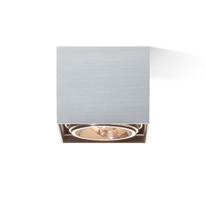 RENDL surface mounted lamp DEAN I   brushed aluminum 230V/12V G53 50W R10610 4