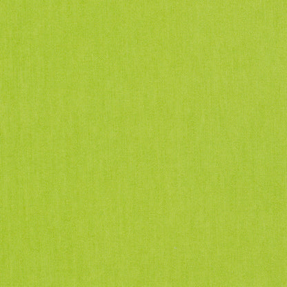 RENDL shades, shade bases, pendent sets DOUBLE 55/30 shade Chintz lime/white PVC max. 23W R11564 2