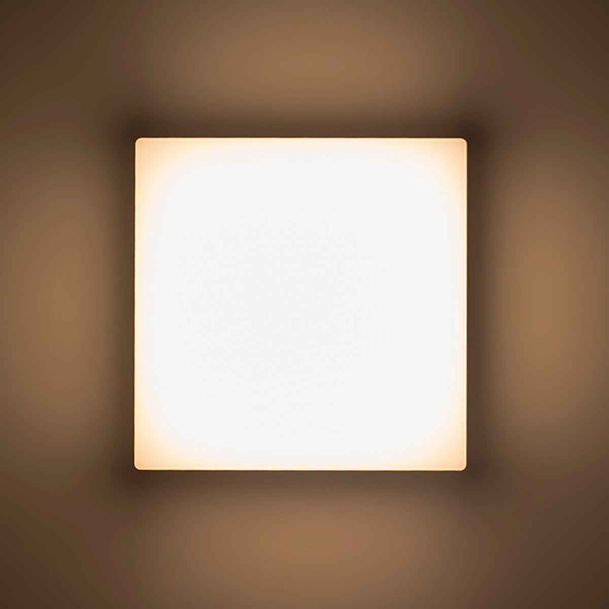 RENDL outdoor lamp SPECTACLE surface mounted silver grey  230V LED 5W IP54  3000K R11968 5