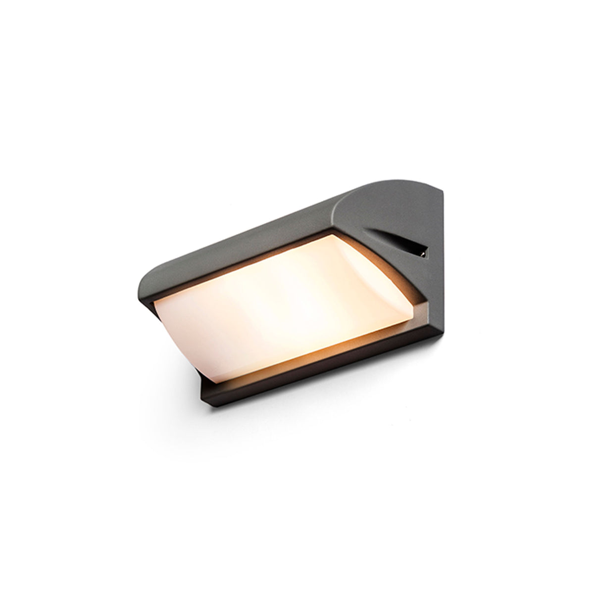 RENDL outdoor lamp MORA wall anthracite grey  230V LED E27 15W IP54 R12572 2
