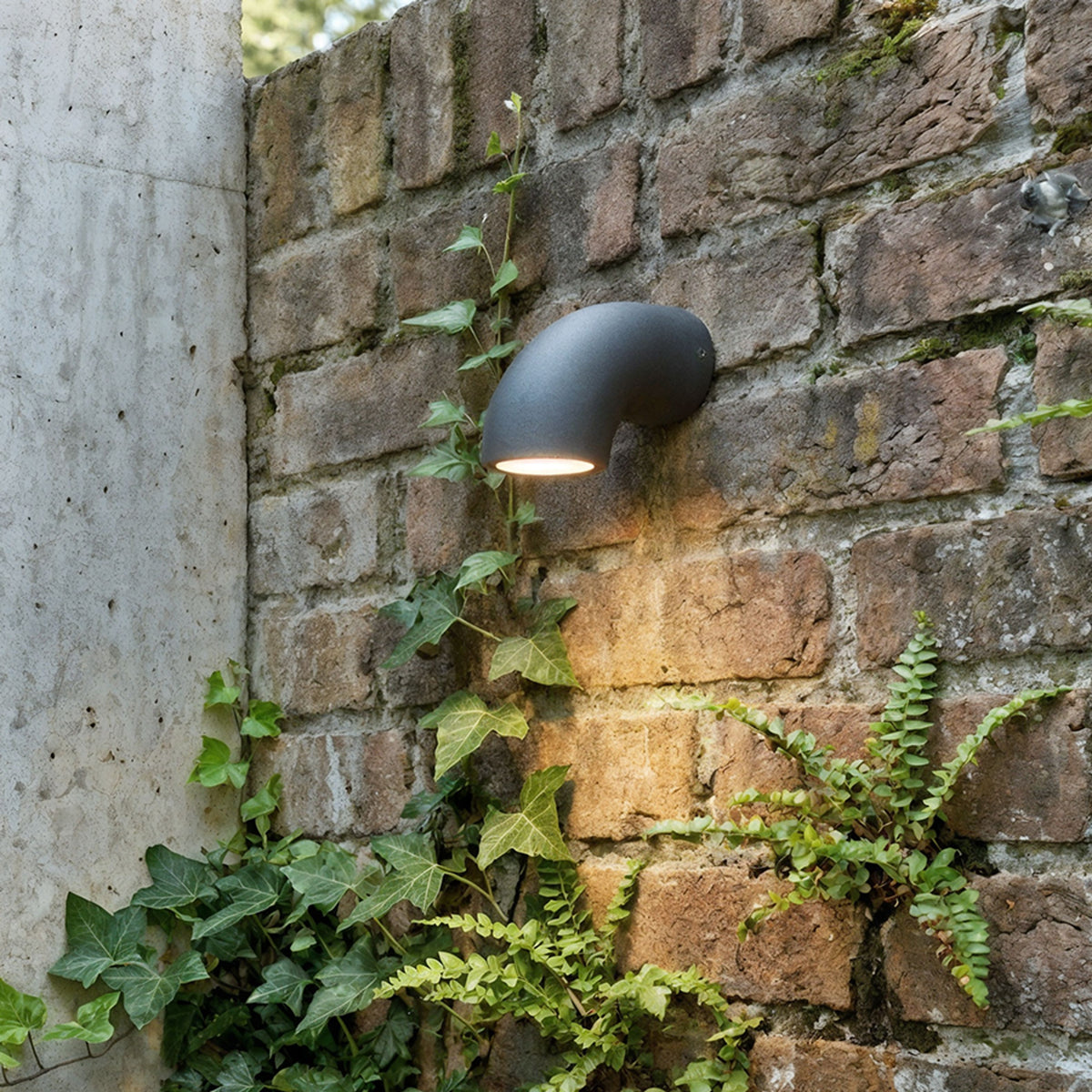 RENDL outdoor lamp PIPER wall anthracite grey  230V LED 6W IP54  3000K R13560 2