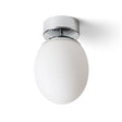 MERINGUE 16