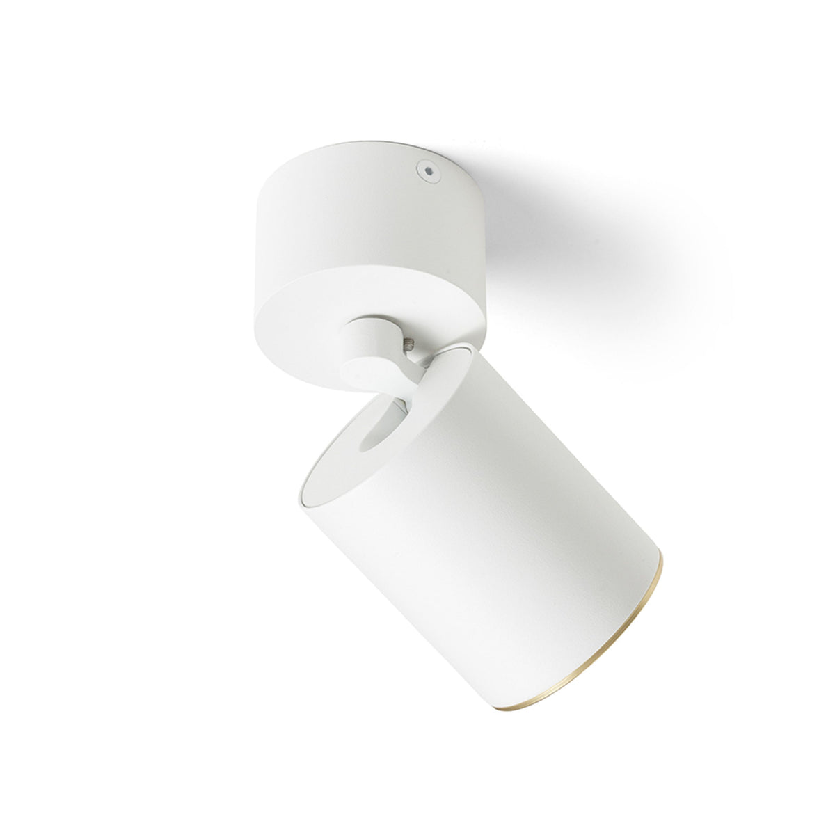 RENDL spotlight DARIO ceiling white brushed brass 230V LED GU10 9W R13867 3
