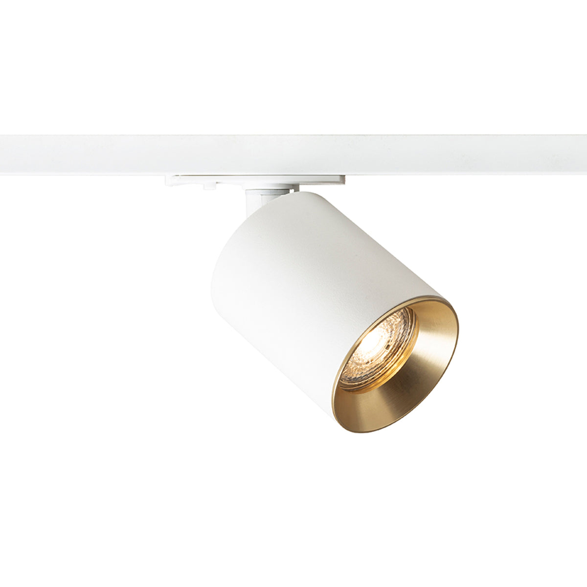 RENDL 1-circuit track system DARIO for 1-circuit tracks white brushed brass 230V LED GU10 9W R13870 1