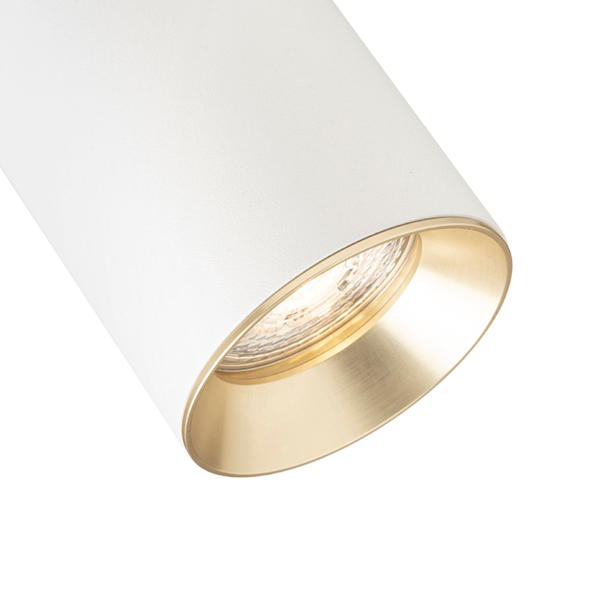 RENDL 1-circuit track system DARIO for 1-circuit tracks white brushed brass 230V LED GU10 9W R13870 5