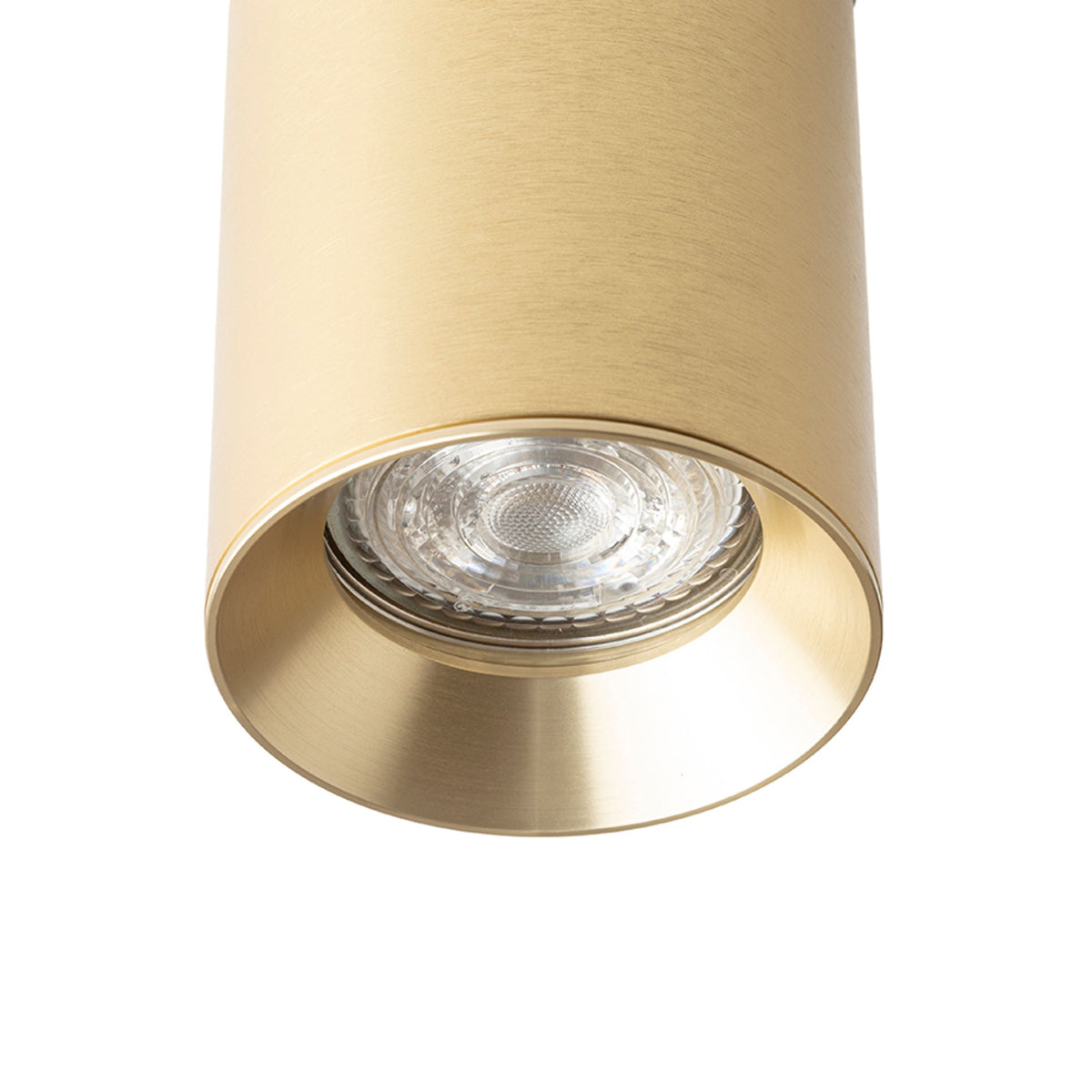 RENDL 3-circuit track system DARIO for 3-circuit tracks  brushed brass 230V LED GU10 9W R13875 5