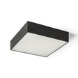 LARISA SQ 22 HIMM