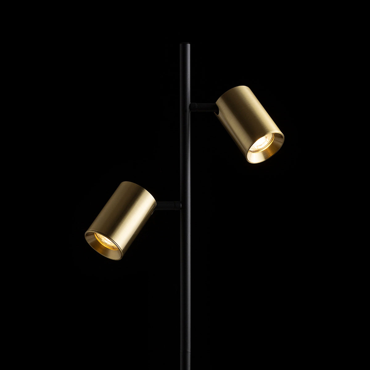 RENDL floor lamp FLYNN II floor black/brushed brass 230V LED GU10 2x9W R14267 4