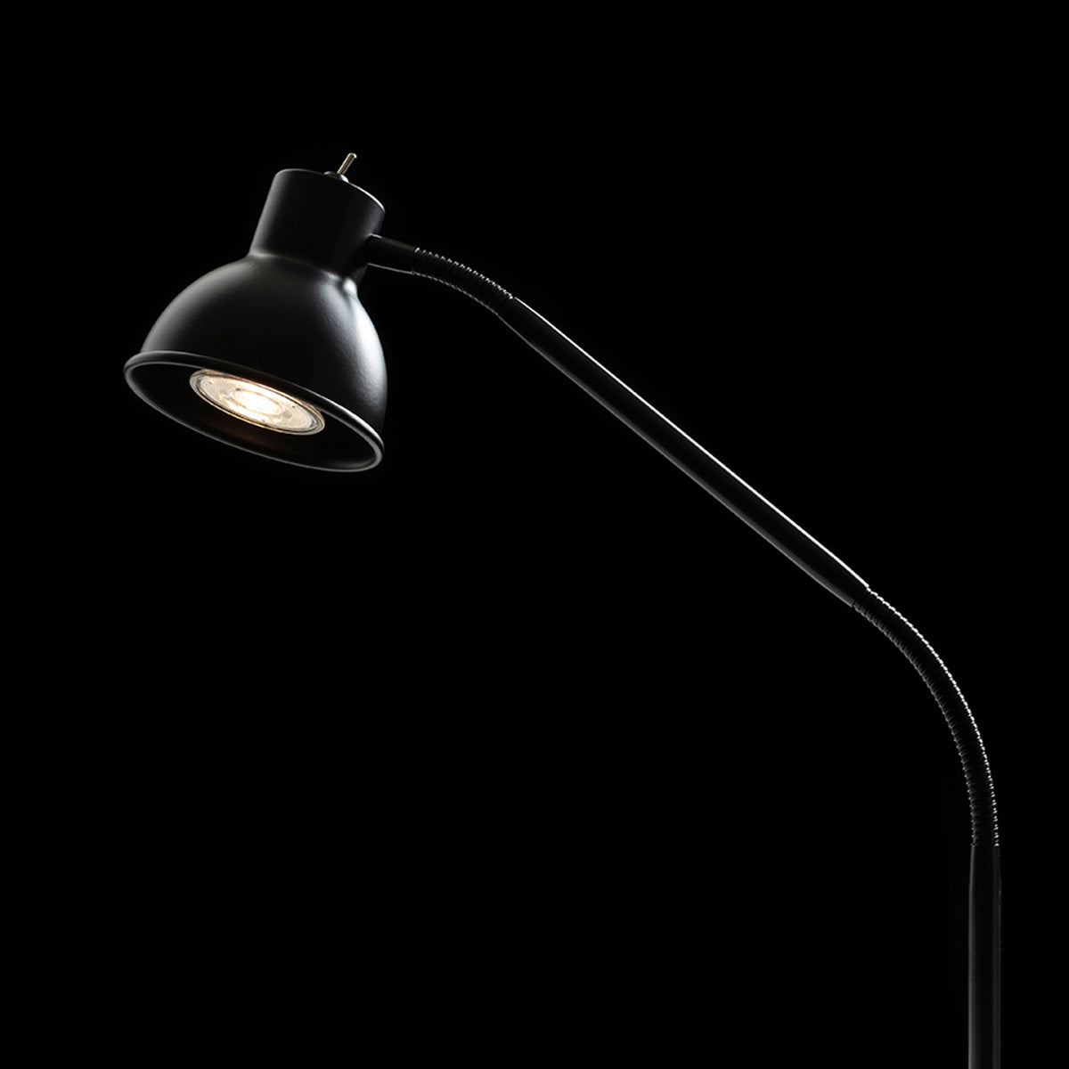 RENDL table lamp HARMONY with clamp for desks black  230V LED GU10 8W R14377 4